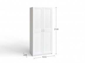 2.06.01.050.4 МАКС шкаф 2 двери 100х61х233 серый RU в Воткинске - votkinsk.ok-mebel.com | фото 4