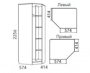 Детская Фанк Шкаф угловой Левый/Правый НМ 013.04-02 М в Воткинске - votkinsk.ok-mebel.com | фото 3