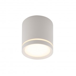 DK4016-WH Светильник накладной IP 20, 5 Вт, LED 3000, белый, алюминий/акрил в Воткинске - votkinsk.ok-mebel.com | фото