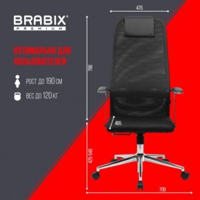 Кресло BRABIX PREMIUM "Ultimate EX-801" хром, плотная двойная сетка Х2, черное, 532917 в Воткинске - votkinsk.ok-mebel.com | фото 7