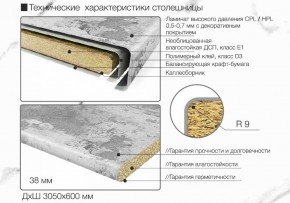 Кухонный фартук со столешницей (А-01) в едином стиле (3050 мм) в Воткинске - votkinsk.ok-mebel.com | фото 6