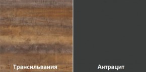 Кухонный гарнитур угловой Трансильвания 2400x1600 мм (Стол. 38 мм) в Воткинске - votkinsk.ok-mebel.com | фото 3