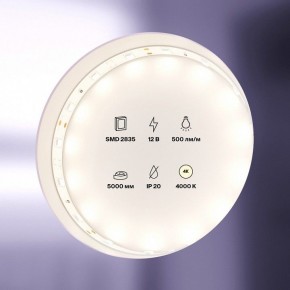 Лента светодиодная Maytoni Led strip 10103 в Воткинске - votkinsk.ok-mebel.com | фото 2