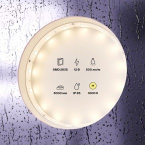 Лента светодиодная Maytoni Led strip 10105 в Воткинске - votkinsk.ok-mebel.com | фото 2