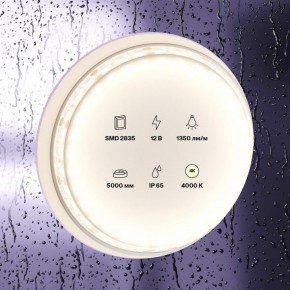 Лента светодиодная Maytoni Led strip 10118 в Воткинске - votkinsk.ok-mebel.com | фото 2