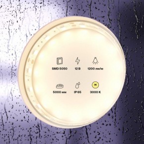 Лента светодиодная Maytoni Led strip 10131 в Воткинске - votkinsk.ok-mebel.com | фото 2