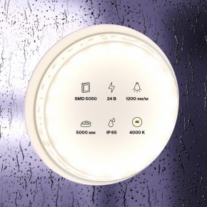 Лента светодиодная Maytoni Led strip 10172 в Воткинске - votkinsk.ok-mebel.com | фото 2