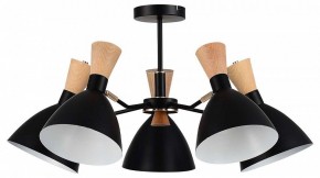 Люстра на штанге EVOLUCE VISTA SLE1256-402-05 в Воткинске - votkinsk.ok-mebel.com | фото