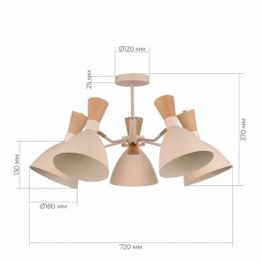 Люстра на штанге EVOLUCE VISTA SLE1256-502-05 в Воткинске - votkinsk.ok-mebel.com | фото 8