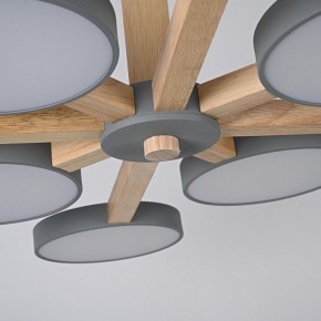 Люстра на штанге Imperiumloft TURNA Gray TURNA-B01 в Воткинске - votkinsk.ok-mebel.com | фото 7