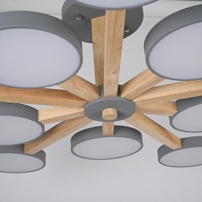 Люстра на штанге Imperiumloft TURNA Gray TURNA-B01 в Воткинске - votkinsk.ok-mebel.com | фото 10