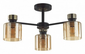 Люстра на штанге Lumion ARLIN 5643/3C в Воткинске - votkinsk.ok-mebel.com | фото