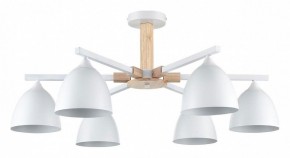 Люстра на штанге Lumion Colange 8095/6C в Воткинске - votkinsk.ok-mebel.com | фото