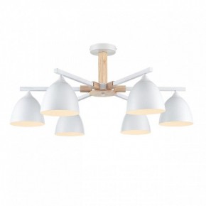 Люстра на штанге Lumion Colange 8095/6C в Воткинске - votkinsk.ok-mebel.com | фото 2