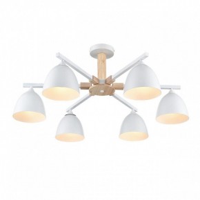 Люстра на штанге Lumion Colange 8095/6C в Воткинске - votkinsk.ok-mebel.com | фото 3