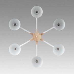 Люстра на штанге Lumion Colange 8095/6C в Воткинске - votkinsk.ok-mebel.com | фото 4
