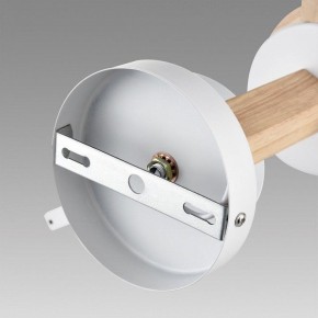 Люстра на штанге Lumion Colange 8095/6C в Воткинске - votkinsk.ok-mebel.com | фото 6