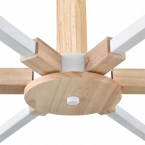 Люстра на штанге Lumion Colange 8095/6C в Воткинске - votkinsk.ok-mebel.com | фото 7