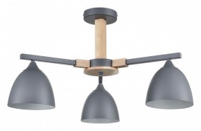 Люстра на штанге Lumion Colange 8096/3C в Воткинске - votkinsk.ok-mebel.com | фото