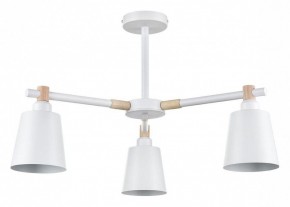 Люстра на штанге Lumion Rosalina 8097/3C в Воткинске - votkinsk.ok-mebel.com | фото