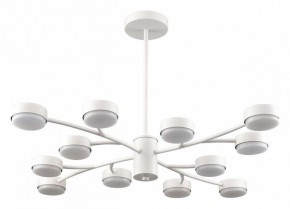 Люстра на штанге Lumion TORINA 8265/12 в Воткинске - votkinsk.ok-mebel.com | фото