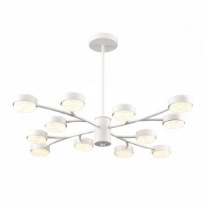 Люстра на штанге Lumion TORINA 8265/12 в Воткинске - votkinsk.ok-mebel.com | фото 2