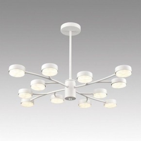 Люстра на штанге Lumion TORINA 8265/12 в Воткинске - votkinsk.ok-mebel.com | фото 3