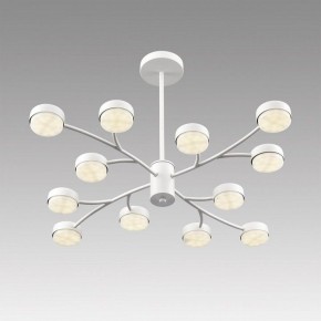 Люстра на штанге Lumion TORINA 8265/12 в Воткинске - votkinsk.ok-mebel.com | фото 5