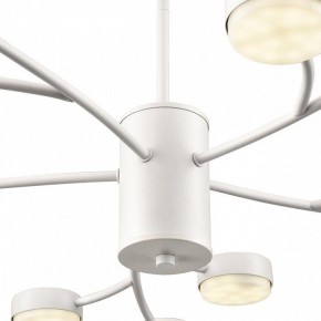 Люстра на штанге Lumion TORINA 8265/15 в Воткинске - votkinsk.ok-mebel.com | фото 8