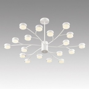 Люстра на штанге Lumion TORINA 8265/18 в Воткинске - votkinsk.ok-mebel.com | фото 5