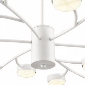 Люстра на штанге Lumion TORINA 8265/18 в Воткинске - votkinsk.ok-mebel.com | фото 8