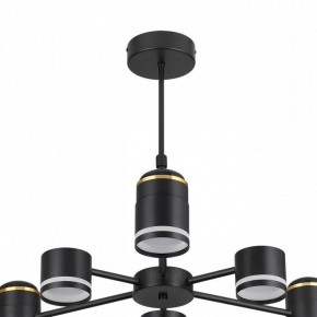 Люстра на штанге Lumion Virsava 8234/6C в Воткинске - votkinsk.ok-mebel.com | фото 5