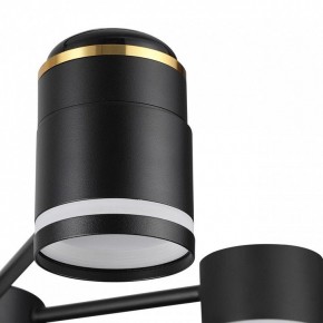 Люстра на штанге Lumion Virsava 8234/6C в Воткинске - votkinsk.ok-mebel.com | фото 8