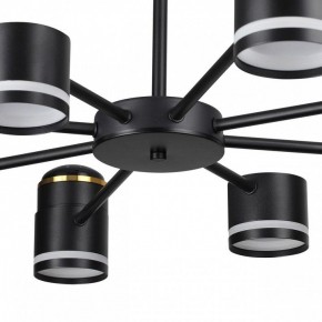 Люстра на штанге Lumion Virsava 8234/8C в Воткинске - votkinsk.ok-mebel.com | фото 10
