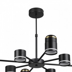 Люстра на штанге Lumion Virsava 8234/8C в Воткинске - votkinsk.ok-mebel.com | фото 5