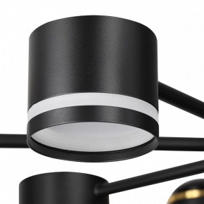 Люстра на штанге Lumion Virsava 8234/8C в Воткинске - votkinsk.ok-mebel.com | фото 8