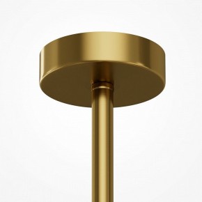 Люстра на штанге Maytoni Museo MOD436PL-07BS в Воткинске - votkinsk.ok-mebel.com | фото 5