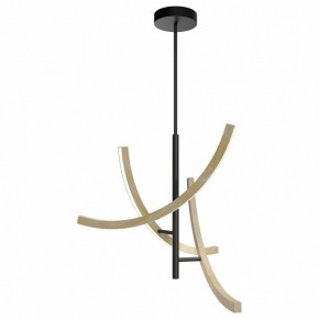 Люстра на штанге Maytoni Wabi MOD428PL-L27BK в Воткинске - votkinsk.ok-mebel.com | фото