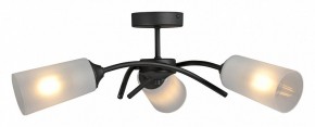 Люстра на штанге Vitaluce V2850 V2850-1/3PL в Воткинске - votkinsk.ok-mebel.com | фото 3