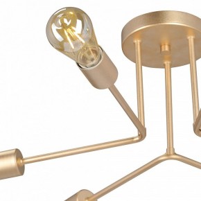 Люстра на штанге Vitaluce V3071 V3071-8/6PL в Воткинске - votkinsk.ok-mebel.com | фото 6