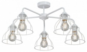 Люстра на штанге Vitaluce V3102 V3102-0/5PL в Воткинске - votkinsk.ok-mebel.com | фото