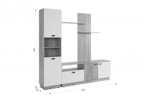 МОДИ Гостиная (модульная) белое дерево в Воткинске - votkinsk.ok-mebel.com | фото 2