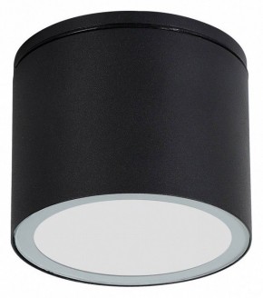 Накладной светильник Arte Lamp Piautos A1913PF-1BK в Воткинске - votkinsk.ok-mebel.com | фото