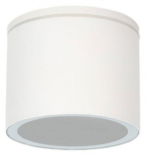Накладной светильник Arte Lamp Piautos A1913PF-1WH в Воткинске - votkinsk.ok-mebel.com | фото