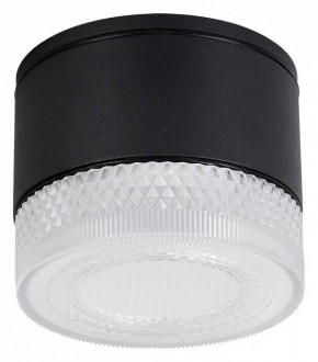 Накладной светильник Arte Lamp Piautos A1926PF-1BK в Воткинске - votkinsk.ok-mebel.com | фото