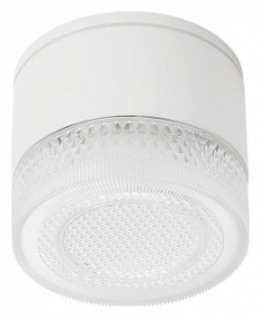 Накладной светильник Arte Lamp Piautos A1926PF-1WH в Воткинске - votkinsk.ok-mebel.com | фото