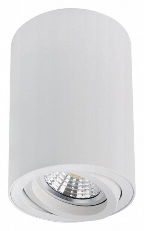 Накладной светильник Arte Lamp Sentry A1566PL-1WH в Воткинске - votkinsk.ok-mebel.com | фото