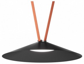 Накладной светильник Denkirs Belty Flow DK5568-BK в Воткинске - votkinsk.ok-mebel.com | фото 2