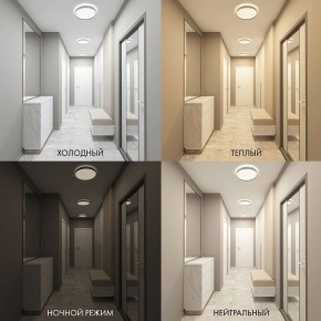 Накладной светильник Denkirs PLATO DK6510-WH в Воткинске - votkinsk.ok-mebel.com | фото 2