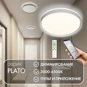 Накладной светильник Denkirs PLATO DK6511-WH/1 в Воткинске - votkinsk.ok-mebel.com | фото 4